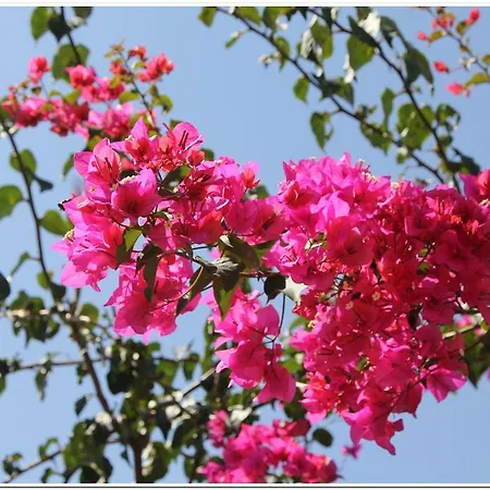 La Porta D'oriente Gasthof Martano