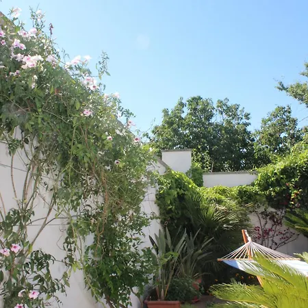 拉波塔多利安堤b&b酒店 3*