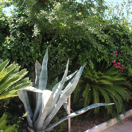 拉波塔多利安堤b&b酒店 马尔塔诺