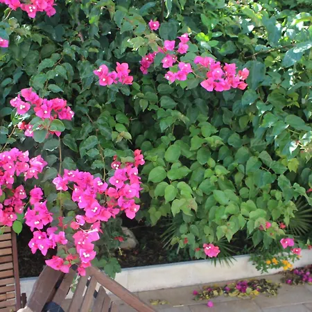 拉波塔多利安堤b&b酒店 招待所