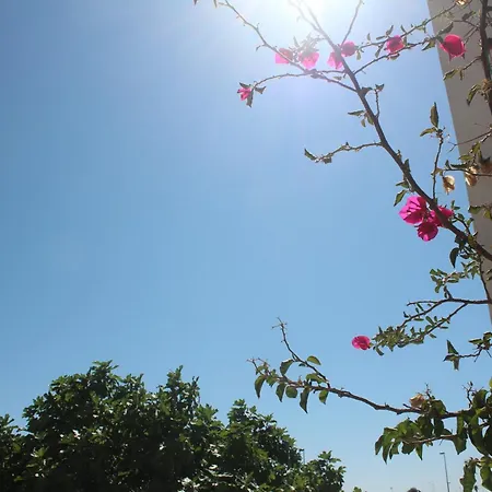 La Porta D'oriente Martano