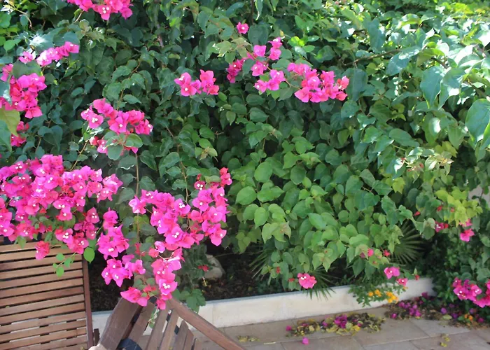 La Porta D'oriente Affittacamere