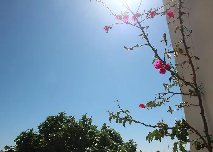 La Porta D'oriente Martano